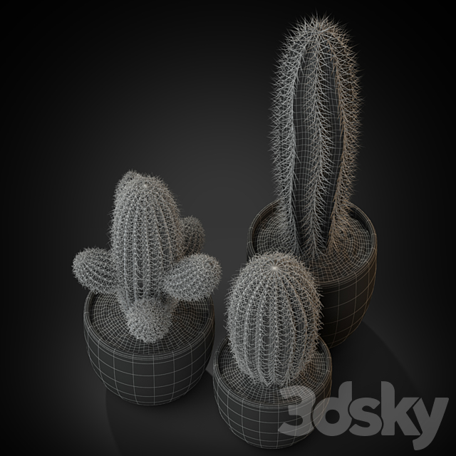 Plants collection 258 3DS Max Model - thumbnail 4