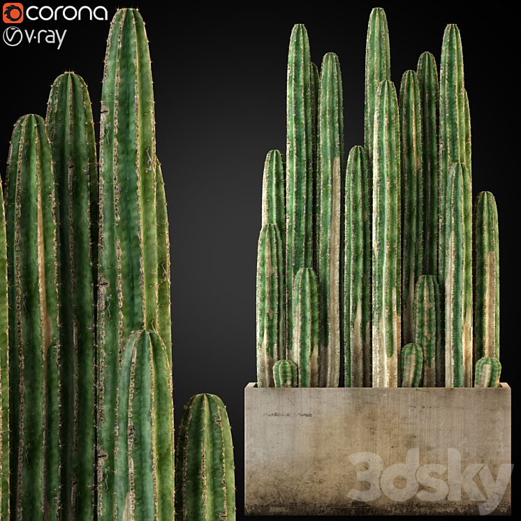 Plants collection 260 3DS Max - thumbnail 1