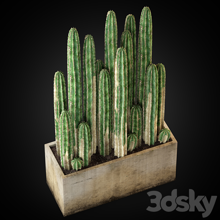 Plants collection 260 3DS Max - thumbnail 2