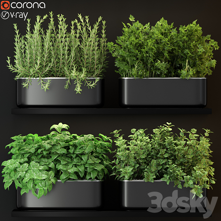 Plants collection 262 3DS Max - thumbnail 1