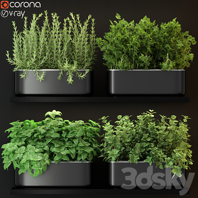 Plants collection 262 3DSMax File - thumbnail 1