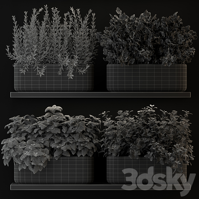 Plants collection 262 3DSMax File - thumbnail 3