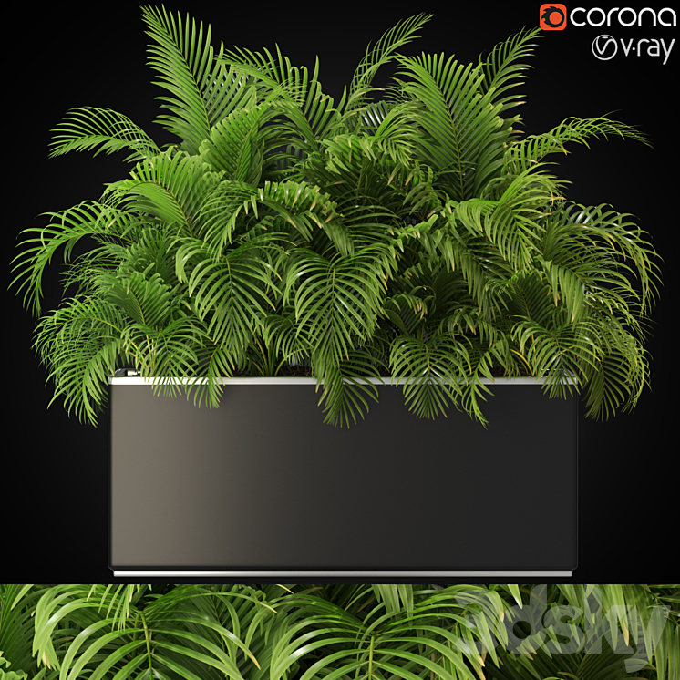 Plants collection 267 3DS Max - thumbnail 1