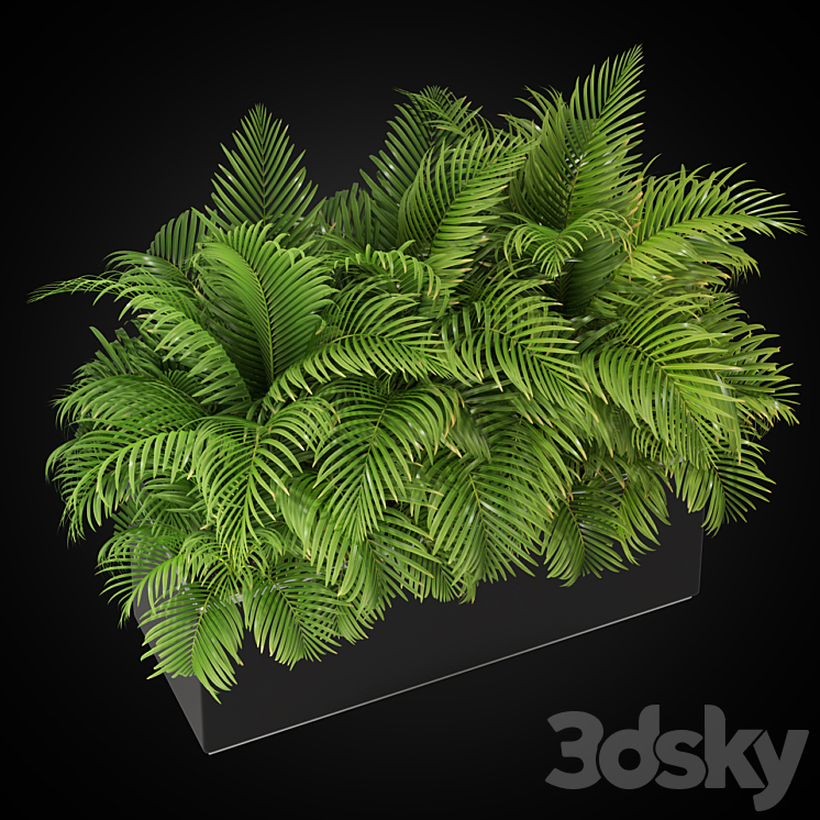 Plants collection 267 3DS Max - thumbnail 2