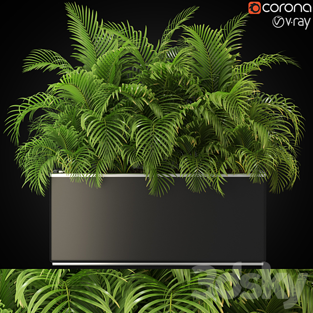 Plants collection 267 3DSMax File - thumbnail 1