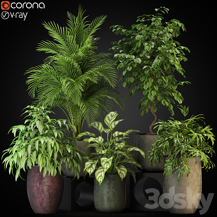 Plants collection 269 3DS Max - thumbnail 1