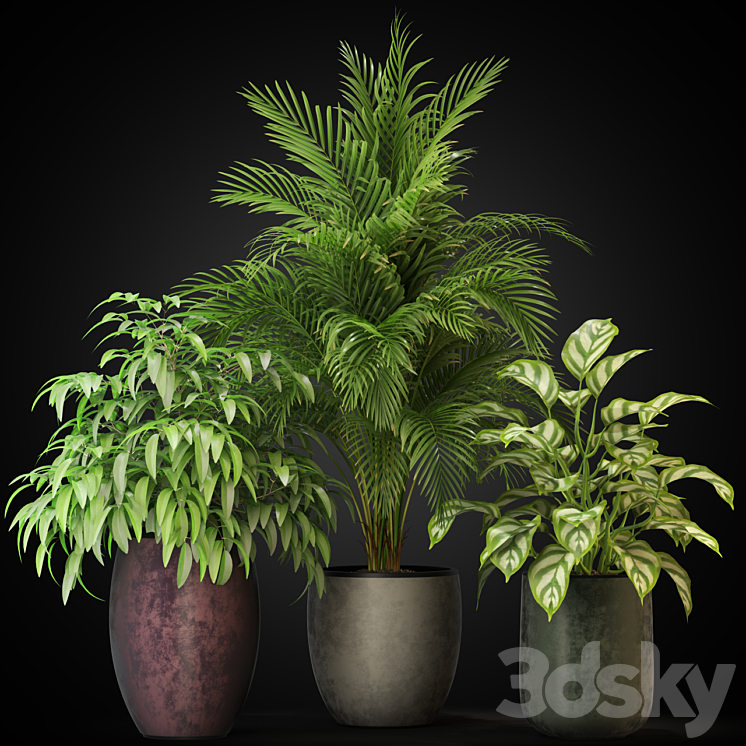 Plants collection 269 3DS Max - thumbnail 2