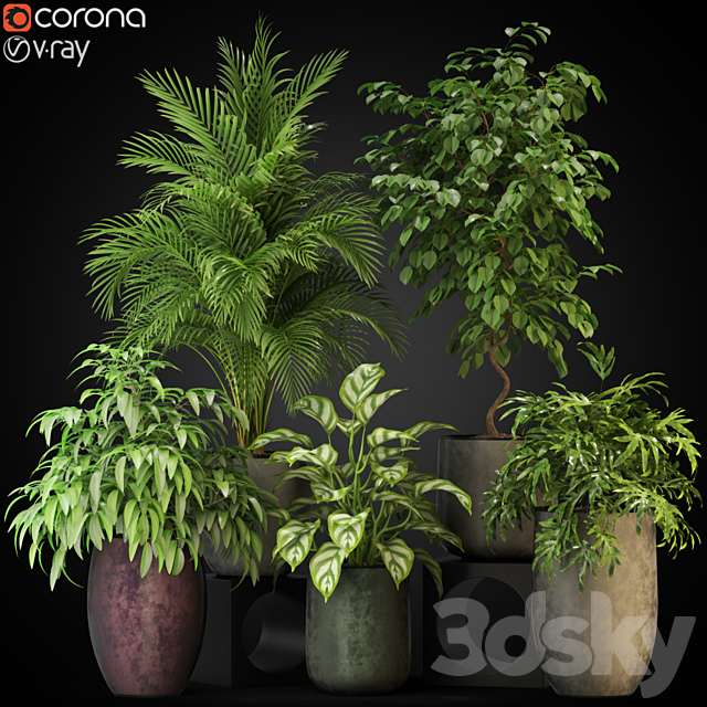 Plants collection 269 3DSMax File - thumbnail 1