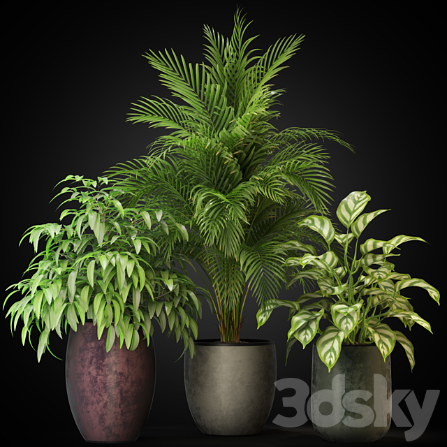 Plants collection 269 3DSMax File - thumbnail 2