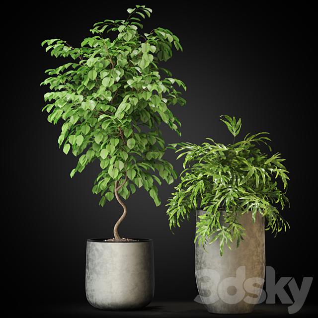 Plants collection 269 3DSMax File - thumbnail 3