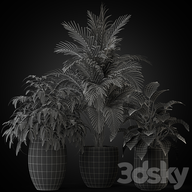 Plants collection 269 3DSMax File - thumbnail 4