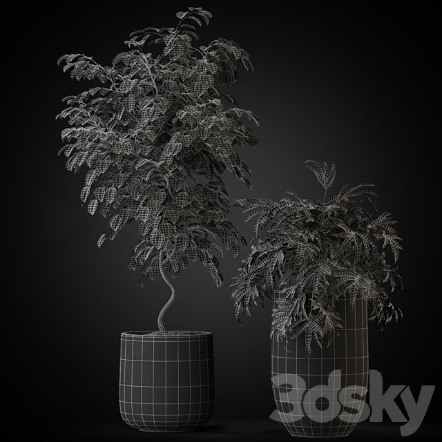 Plants collection 269 3DSMax File - thumbnail 5