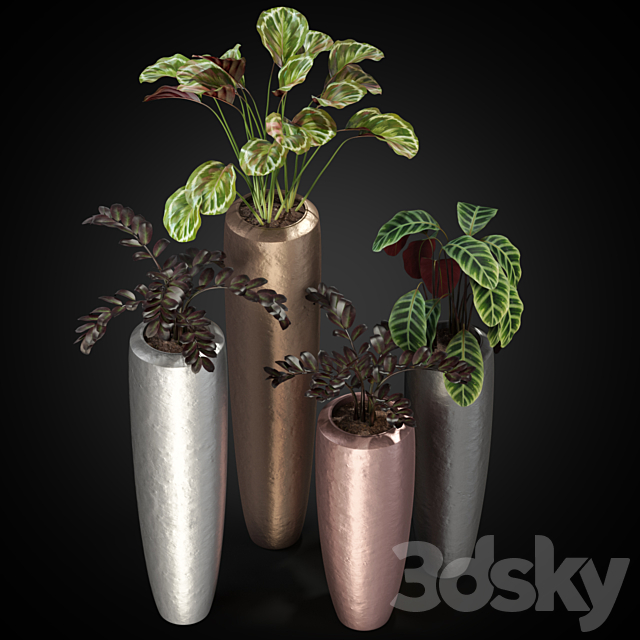 Plants collection 272 Fleur ami LOFT 3DS Max Model - thumbnail 2