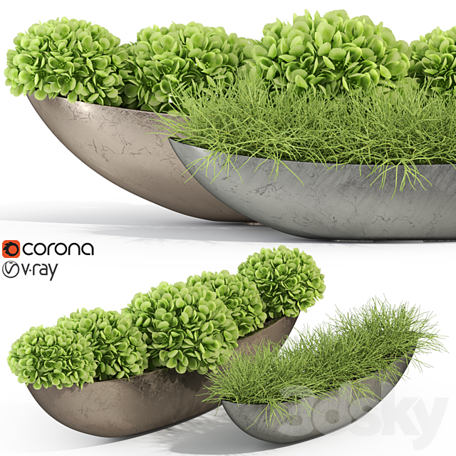 Plants collection 280 Fleurami ROYAL 3DSMax File - thumbnail 1