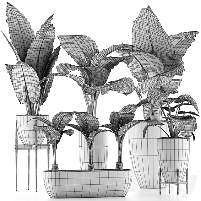 Plants Collection 31 3DSMax File - thumbnail 5