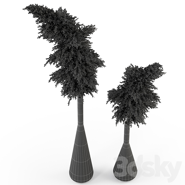 Plants collection 316 3DS Max Model - thumbnail 4