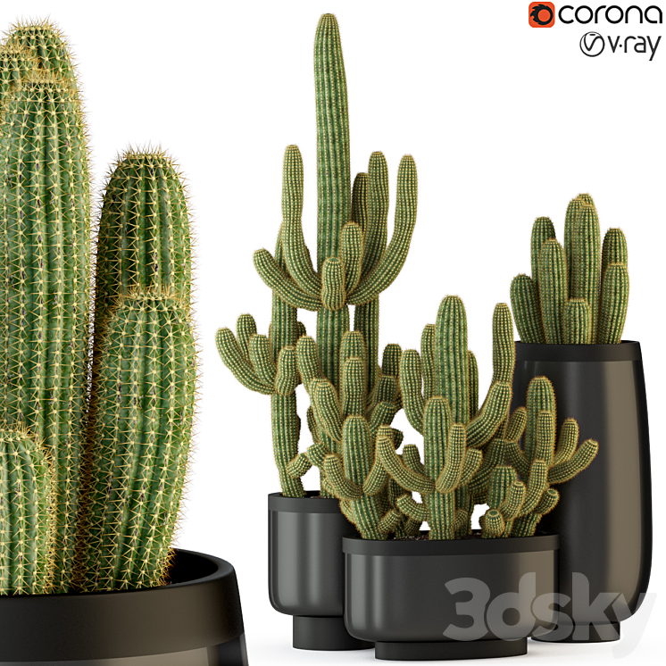 Plants collection 317 3DS Max - thumbnail 1