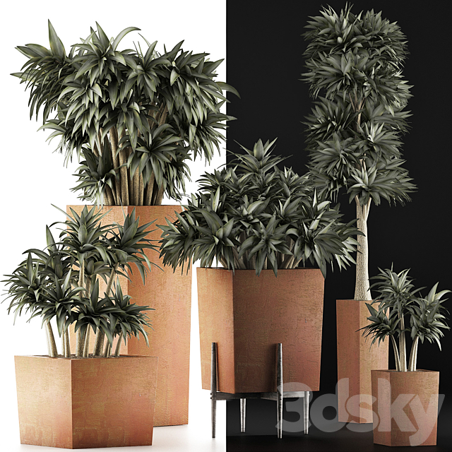 Plants Collection 33 3DSMax File - thumbnail 3