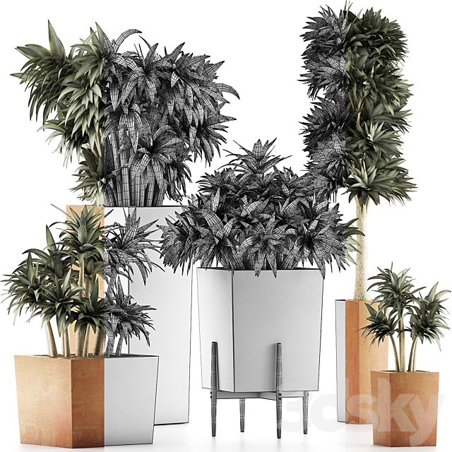 Plants Collection 33 3DSMax File - thumbnail 4