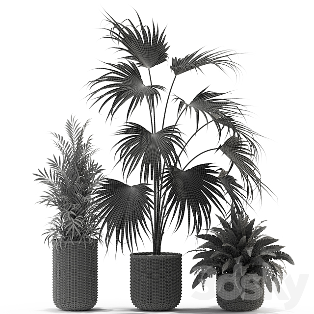 Plants collection 338 3DS Max Model - thumbnail 4