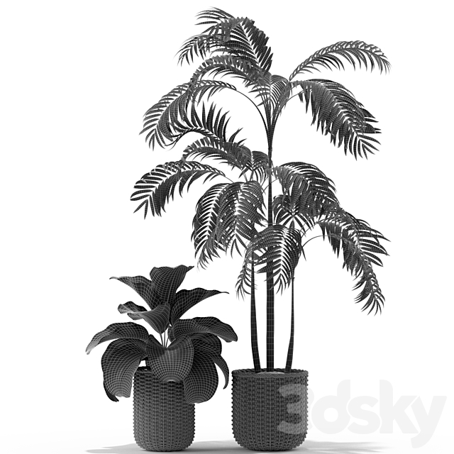 Plants collection 338 3DS Max Model - thumbnail 5