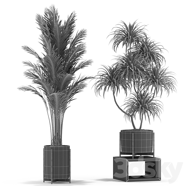 Plants collection 343 3DS Max Model - thumbnail 4