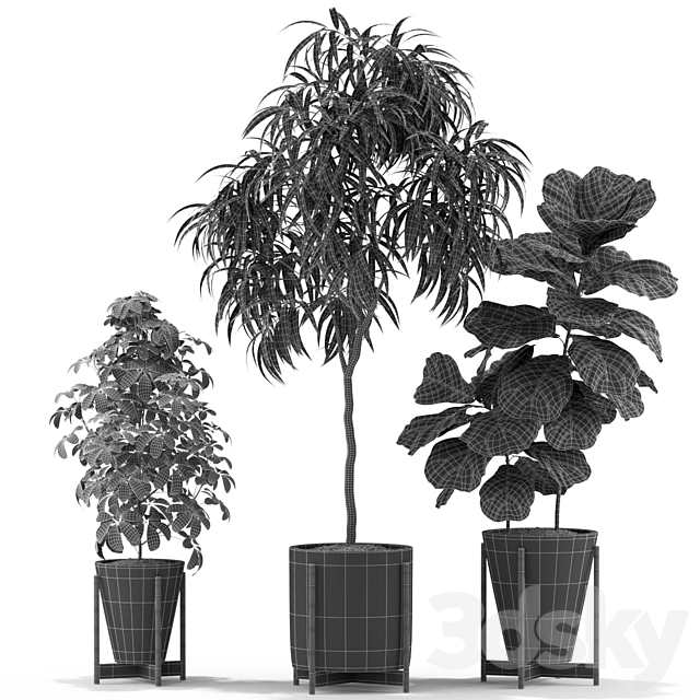 Plants collection 343 3DS Max Model - thumbnail 5