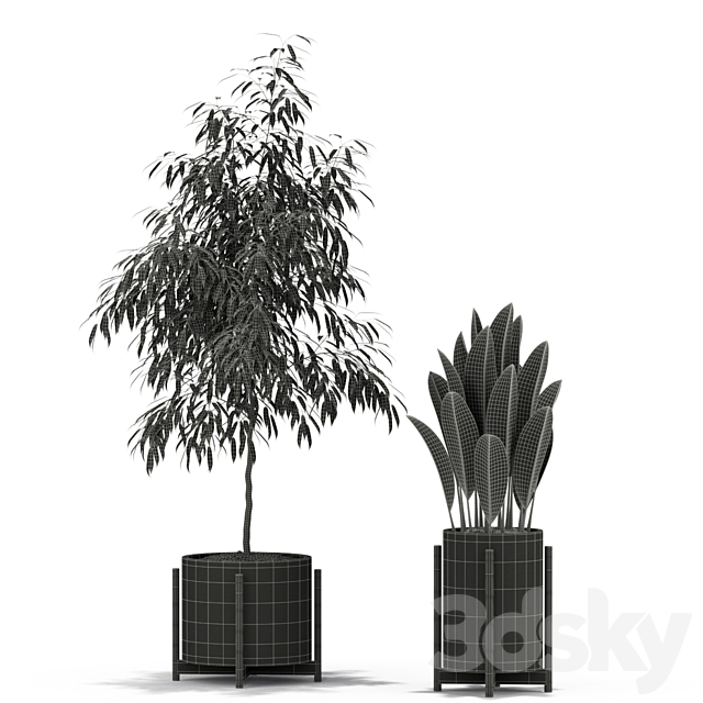 Plants collection 345 3DS Max Model - thumbnail 4