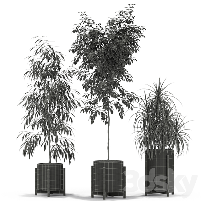 Plants collection 345 3DS Max Model - thumbnail 5