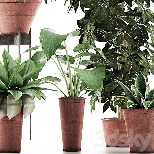 Plants Collection 35 3DS Max Model - thumbnail 2