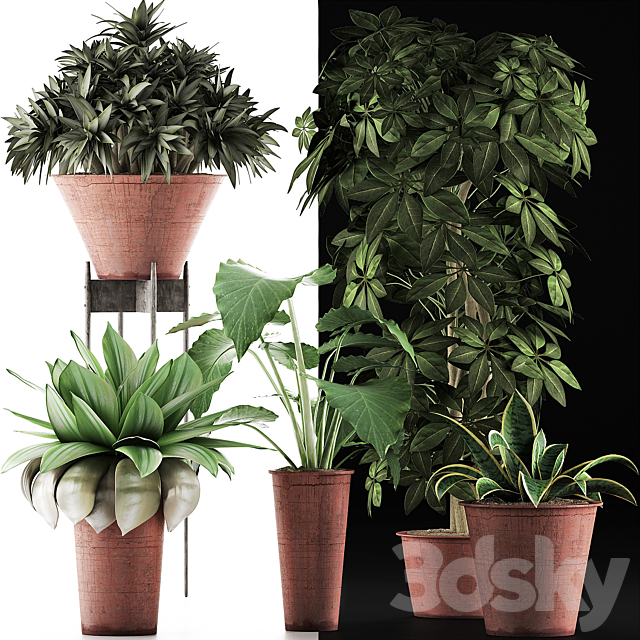 Plants Collection 35 3DS Max Model - thumbnail 3