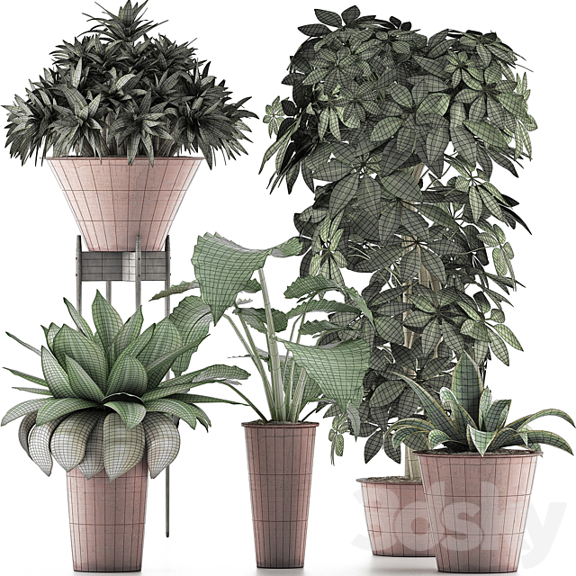 Plants Collection 35 3DS Max Model - thumbnail 4