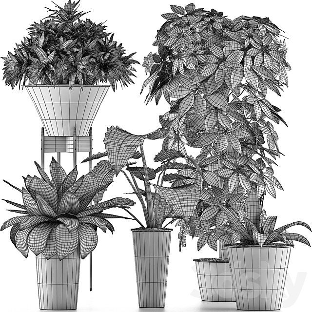 Plants Collection 35 3DS Max Model - thumbnail 5