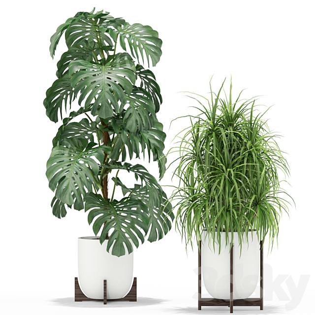 Plants collection 354 3DS Max Model - thumbnail 2