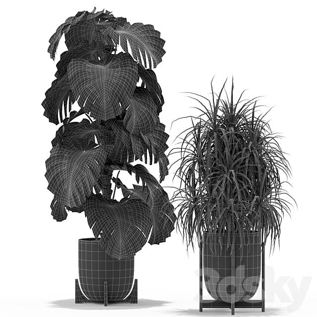 Plants collection 354 3DS Max Model - thumbnail 4