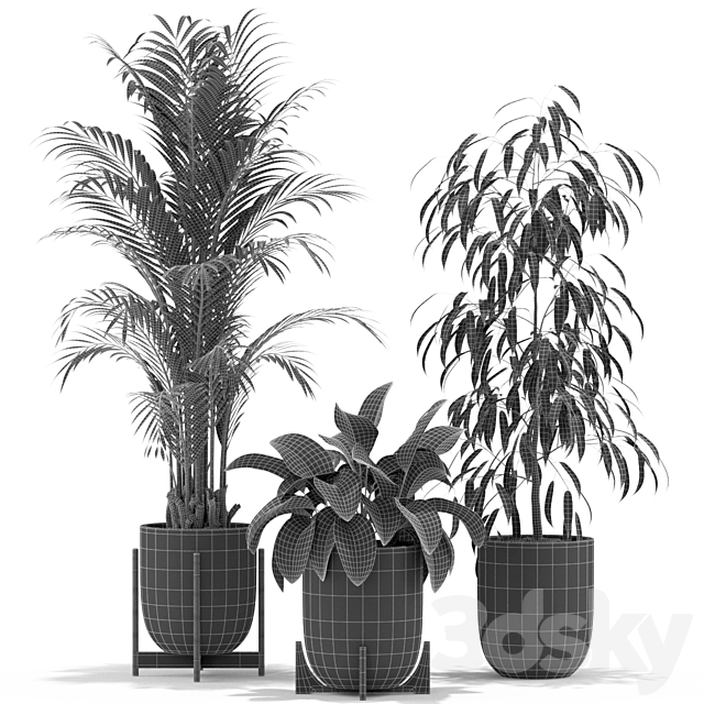 Plants collection 354 3DS Max Model - thumbnail 5