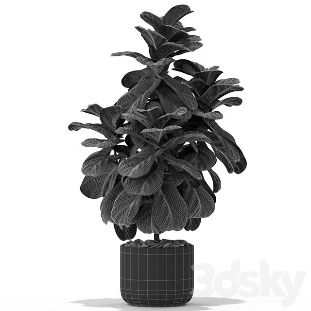 Plants collection 366 3DS Max Model - thumbnail 4