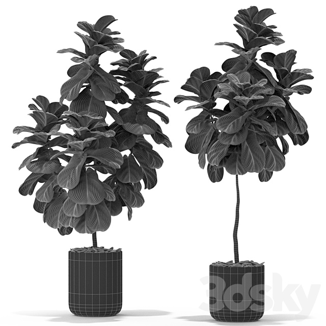 Plants collection 366 3DS Max Model - thumbnail 5