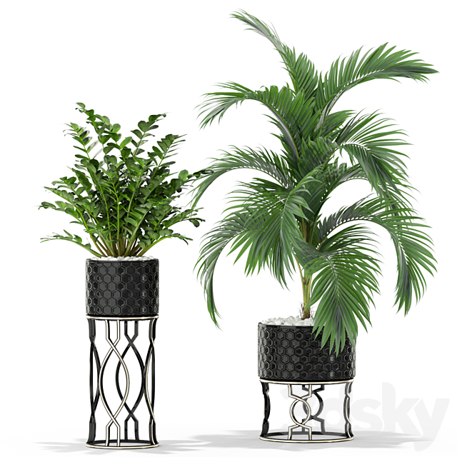 Plants collection 367 3DS Max Model - thumbnail 2