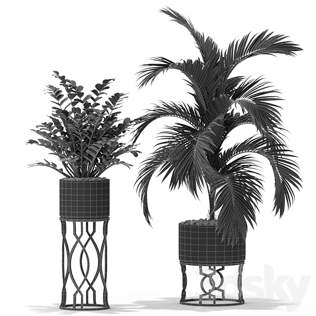 Plants collection 367 3DS Max Model - thumbnail 4