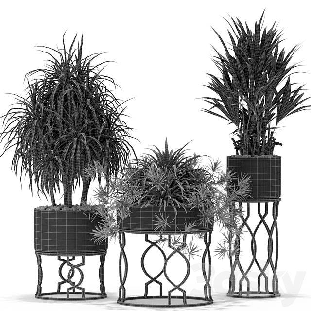 Plants collection 367 3DS Max Model - thumbnail 5