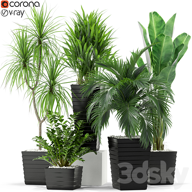 Plants collection 371 3DSMax File - thumbnail 1