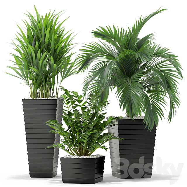 Plants collection 371 3DSMax File - thumbnail 2