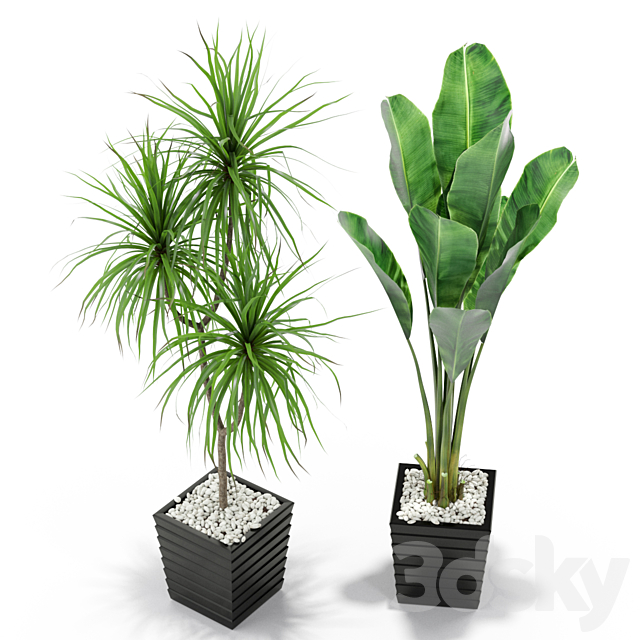 Plants collection 371 3DSMax File - thumbnail 3