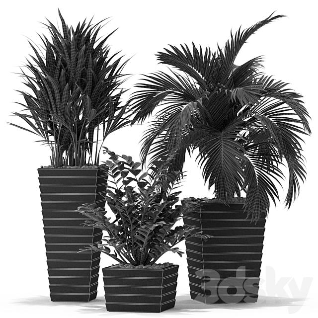 Plants collection 371 3DSMax File - thumbnail 4