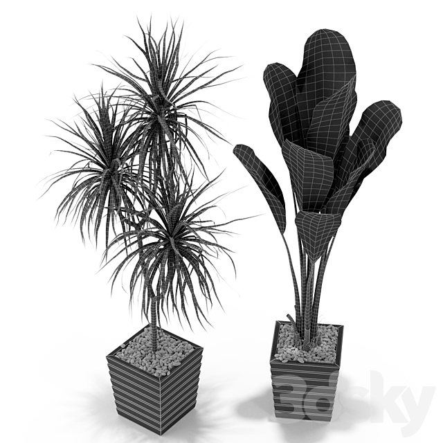 Plants collection 371 3DSMax File - thumbnail 5