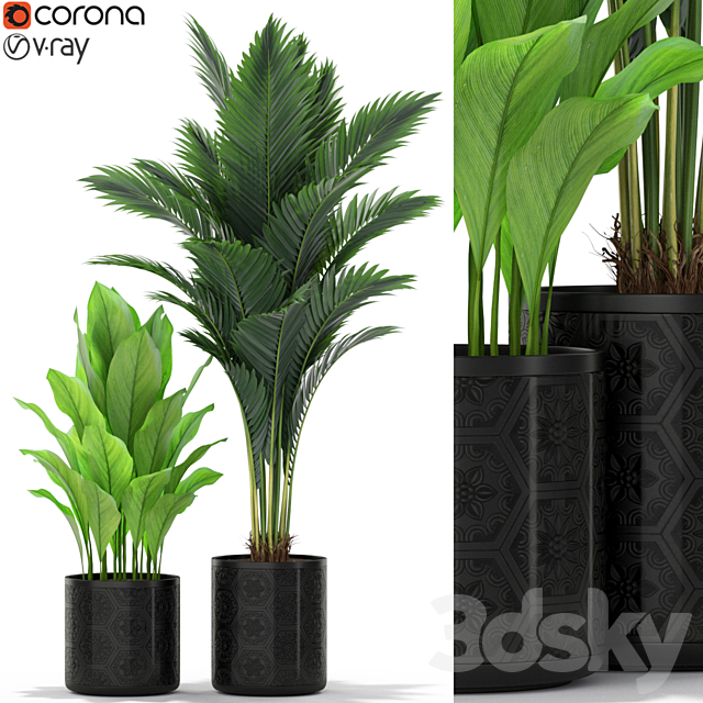 Plants collection 380 3DSMax File - thumbnail 1