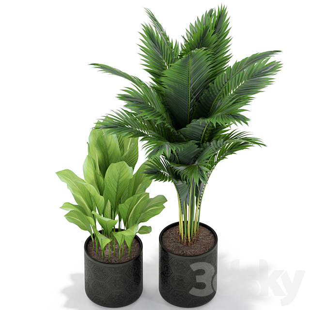 Plants collection 380 3DSMax File - thumbnail 2