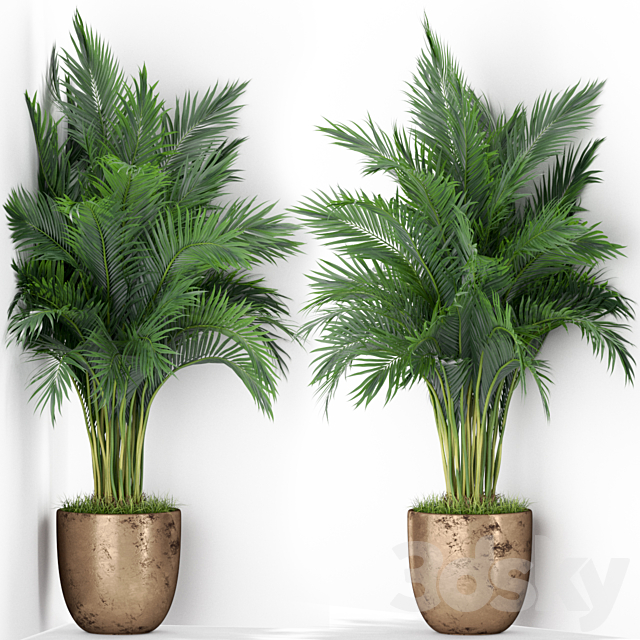 Plants collection 386 3DSMax File - thumbnail 1