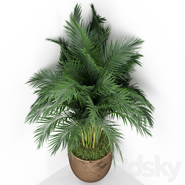 Plants collection 386 3DSMax File - thumbnail 2